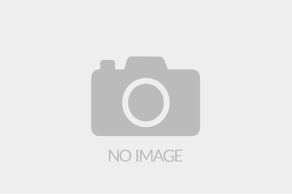 《女神异闻录3：Reload》视频直播官方指引 2月2日发售